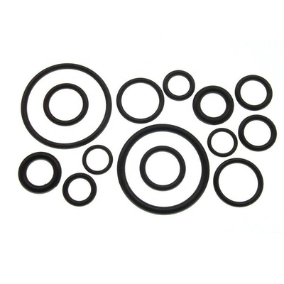 Heat Insulation ROHS Neoprene O Ring Kit Odorless Corona Resistant